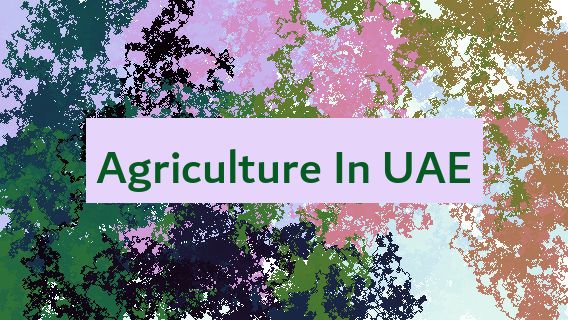 Agriculture In UAE 🇦🇪 🧑‍🌾
