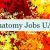Anatomy Jobs UAE 👔 🇦🇪