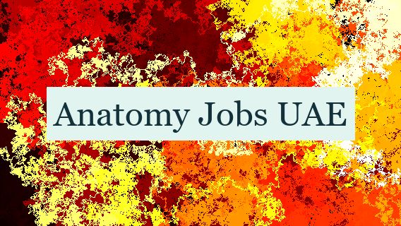 Anatomy Jobs UAE 👔 🇦🇪