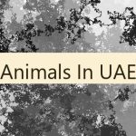 Animals In UAE 🇦🇪