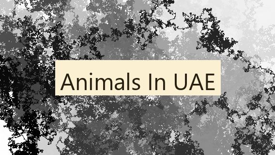 Animals In UAE 🇦🇪