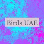 Birds UAE 🐦🇦🇪