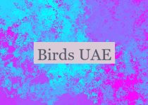 Birds UAE 🇦🇪