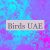 Birds UAE 🐦🇦🇪
