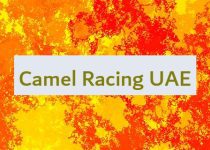 Camel Racing UAE 🐫 🇦🇪