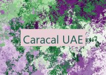 Caracal UAE 🇦🇪