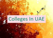 Colleges In UAE 🇦🇪🏫