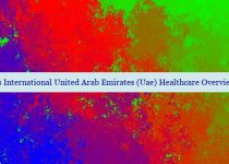 Colliers International United Arab Emirates (Uae) Healthcare Overview 2019