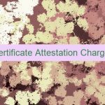 Degree Certificate Attestation Charges In UAE 🇦🇪