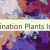 Desalination Plants In UAE 🇦🇪