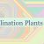 Desalination Plants UAE 🇦🇪