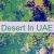 Desert In UAE 🏜️ 🇦🇪