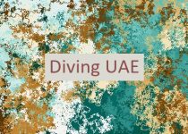 Diving UAE 🇦🇪