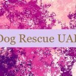 Dog Rescue UAE 🐶🇦🇪