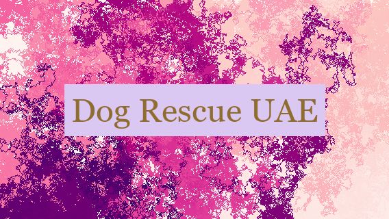 Dog Rescue UAE 🐶🇦🇪