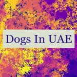 Dogs In UAE 🐕🇦🇪