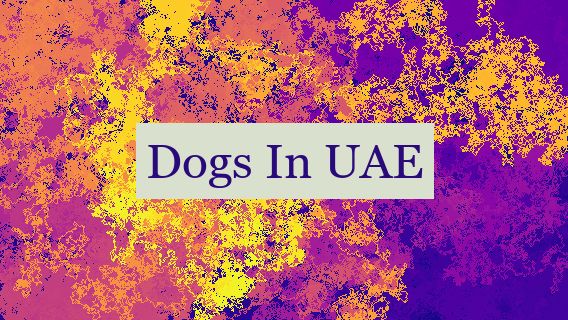 Dogs In UAE 🐕🇦🇪