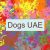 Dogs UAE 🐕🇦🇪
