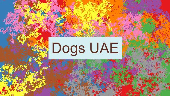 Dogs UAE 🐕🇦🇪