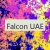 Falcon UAE 🇦🇪