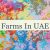 Farms In UAE 🇦🇪