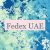 Fedex UAE 🇦🇪