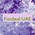 Fordeal UAE 🇦🇪
