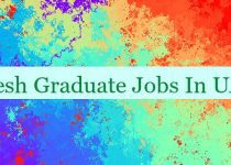 Fresh Graduate Jobs In UAE 🇦🇪👔