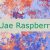 Fs-Uae Raspberry Pi