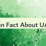 Fun Fact About UAE 🇦🇪