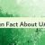 Fun Fact About UAE 🇦🇪