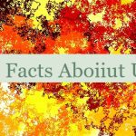 Fun Facts Aboiiut UAE 🇦🇪