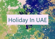 Holiday In UAE 🇦🇪