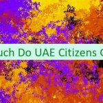 How Much Do UAE Citizens Get Paid 🇦🇪