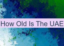 How Old Is The UAE 🇦🇪