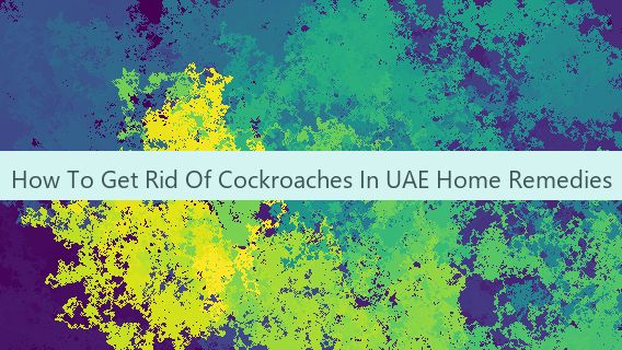 How To Get Rid Of Cockroaches In UAE Home Remedies 🇦🇪