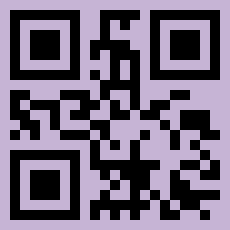 QR Code for Airlines UAE