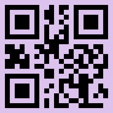QR Code for UAE Entry