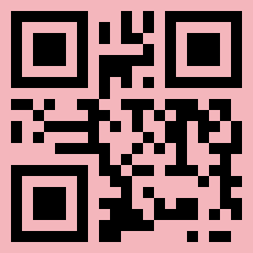 QR Code for UAE Salary