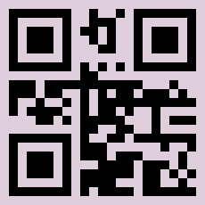 QR Code for UAE Visa Status