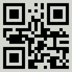QR Code for UAE Visa Types