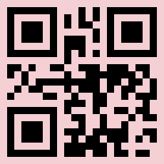 QR Code for UAE Visit Visa