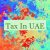 Tax In UAE