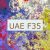 UAE F35