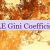 UAE Gini Coefficient