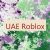 UAE Roblox