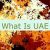 What Is UAE