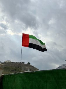 UAE Flag