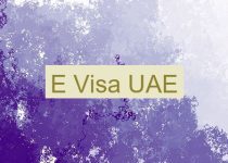 E Visa UAE 🇦🇪