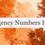Emergency Numbers In UAE 🇦🇪